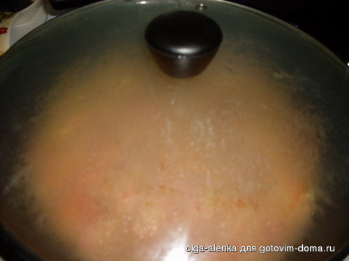 крышкой.jpg