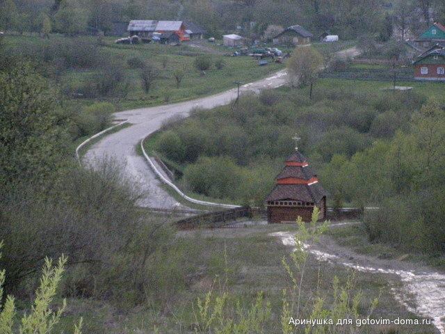 P5010130.jpg