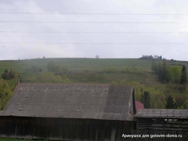 P5010086.jpg