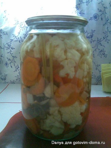 01102009.jpg