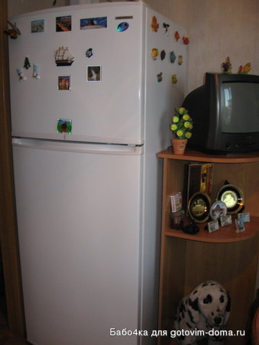 IMG_1283.jpg