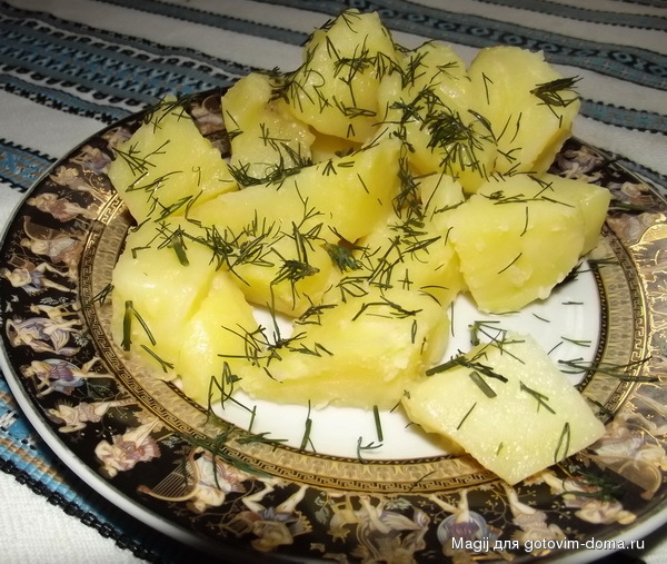DSCF5286.jpg