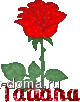 b2fffe0e4c2e0cd46d695d75e93d1fb9.gif