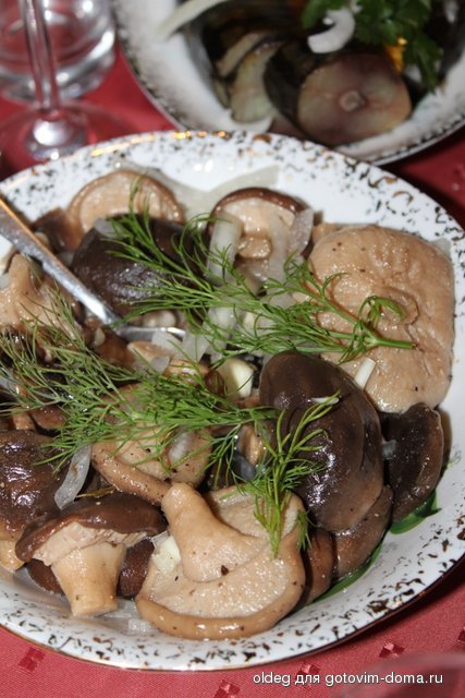 2013_12_24_9766.jpg