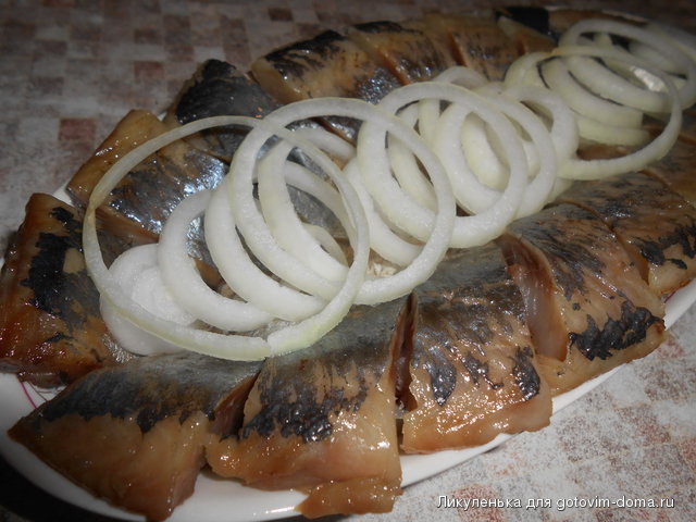 DSCN2523.jpg
