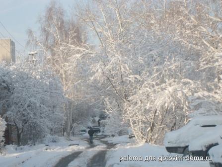 Копия 1-2_05_09 г[снег. (21).jpg
