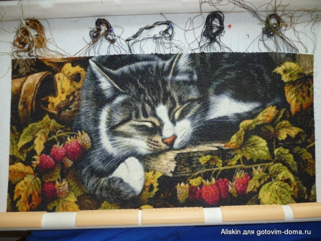 Феликс 26.04.2012 0031.jpg