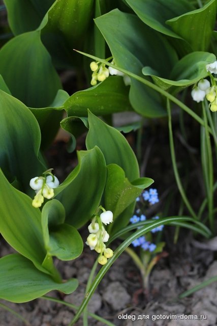 2013_05_15_1209.jpg