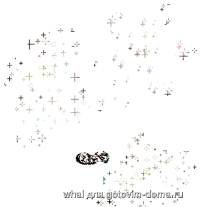 26.gif