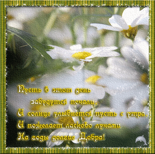 12661219012.gif