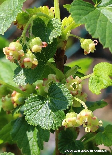 2013_05_05_0110.jpg