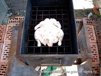 IMGP0123.JPG