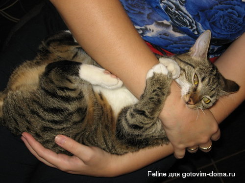 111 003_resize.jpg