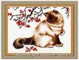 ZR Zadumchivyj_kot.jpg
