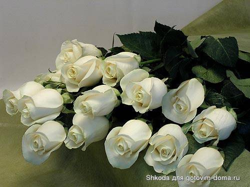 090a26cca1bbe6576055e6c07b3cb842.jpg