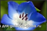 bfoto_ru_340a.jpg