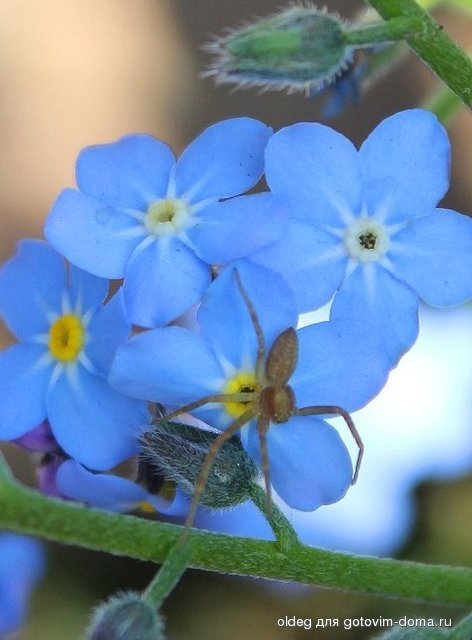 2013_05_05_0236.jpg