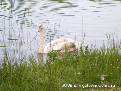 IMGP0613_изм-е размера.JPG