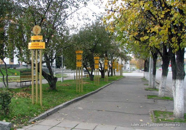 z029.jpg