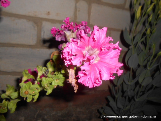 DSCN1200.JPG