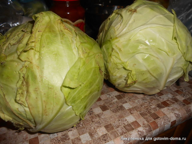 DSCN1853.JPG