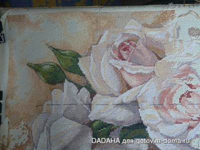 P1050720-1309.jpg