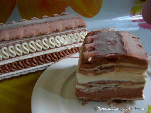 DSCN9566.JPG