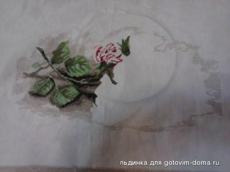 P241010_23.05.jpg