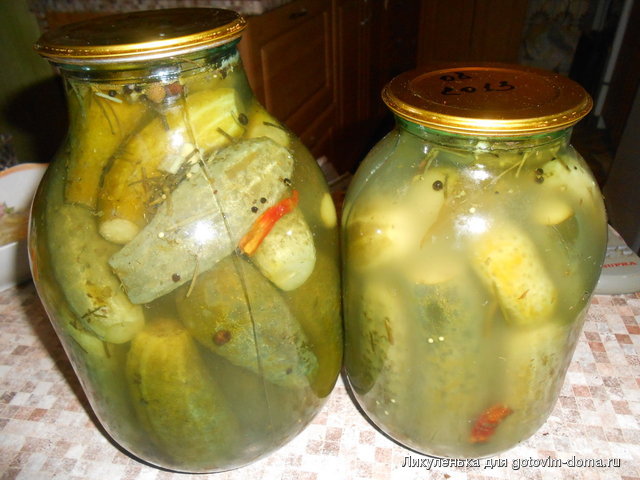 DSCN2150.jpg