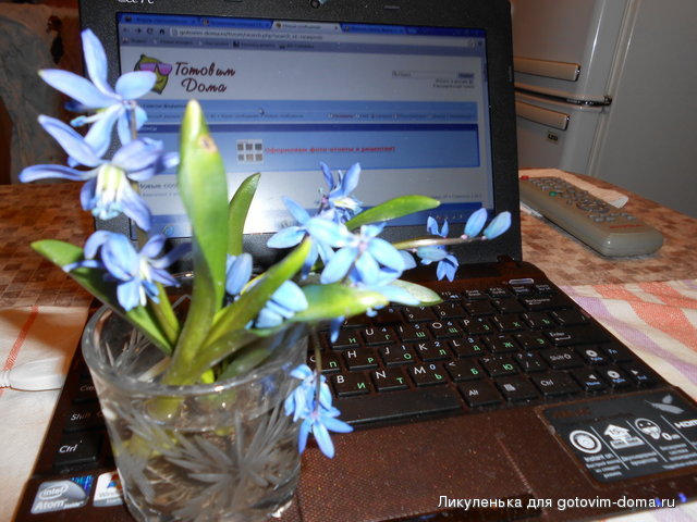 DSCN0085.jpg