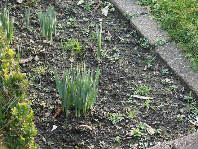 DSC00032.JPG