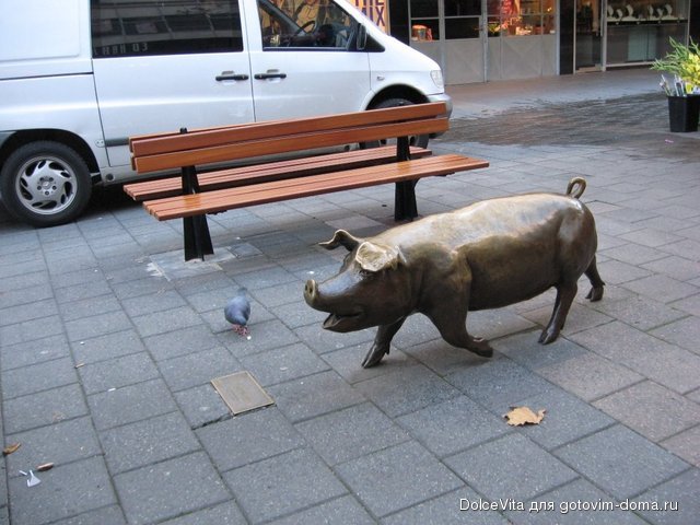 pig3.jpg