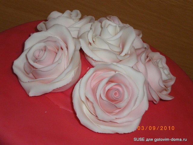 IMGP4150.JPG