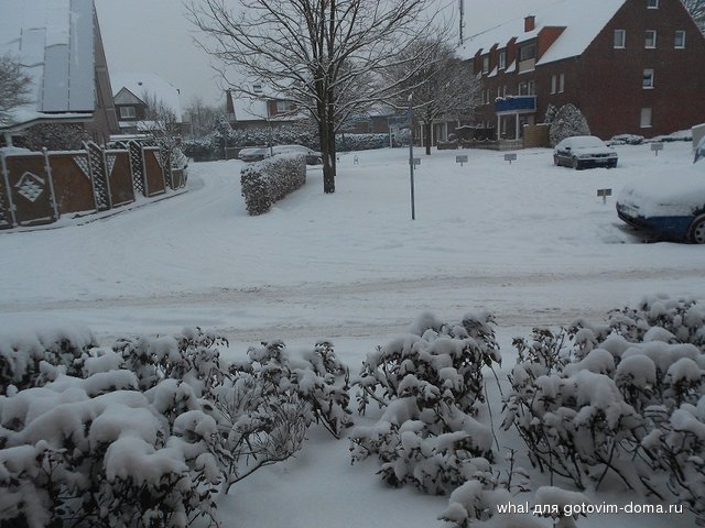 DSCN2589.JPG