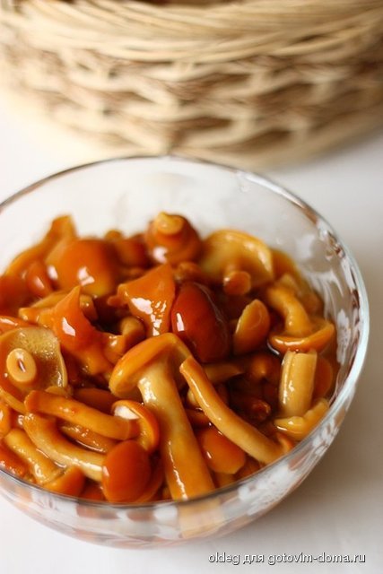 2012_08_10_9999_201.JPG