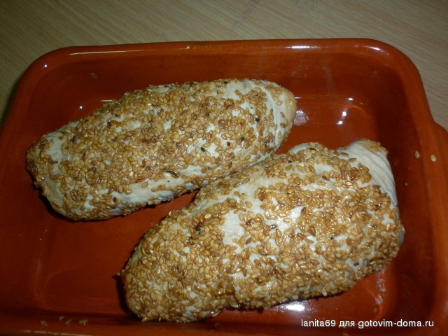 P1000861.jpg