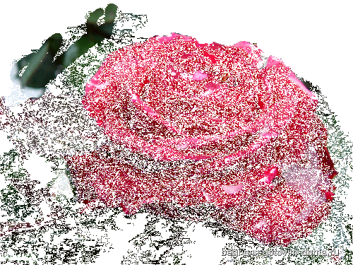 0_2805b_3d1ba18_L[1].gif
