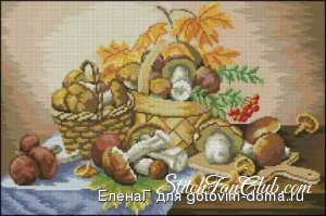 1223823787_www_stitchfanclub_com_rmlszxmtqlc1szlsrv.jpg