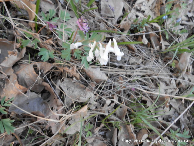 DSCN0324.JPG