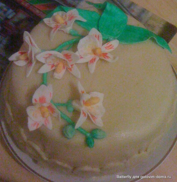 Torte 011.JPG