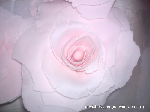 DSC01531.JPG