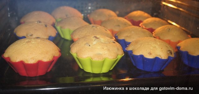 DSC09376.JPG