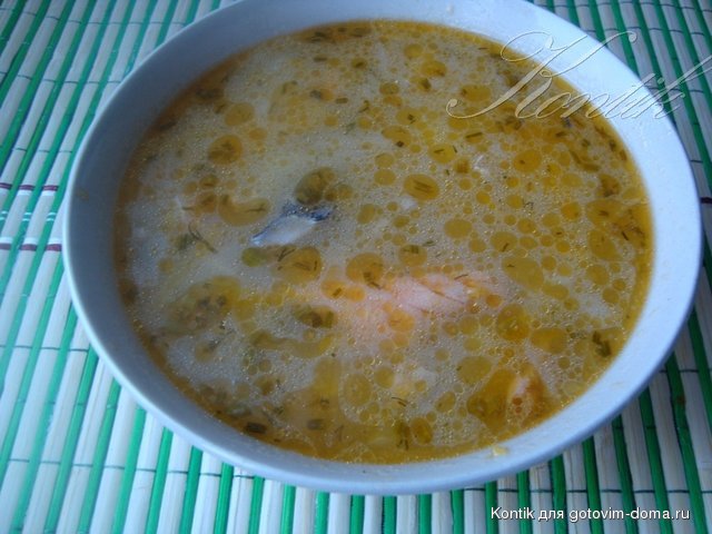 DSC03511.JPG
