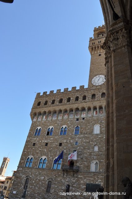 DSC_8602.JPG