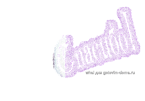 632055039.gif