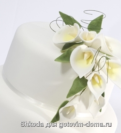 fondantlilitop_jpg.jpg