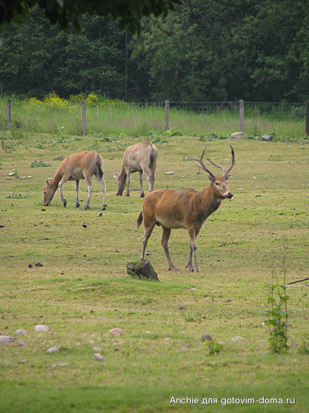IMG_4133.JPG