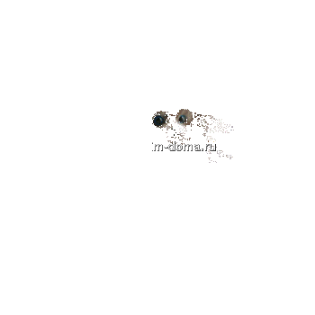 2271687_8493b0cf.gif