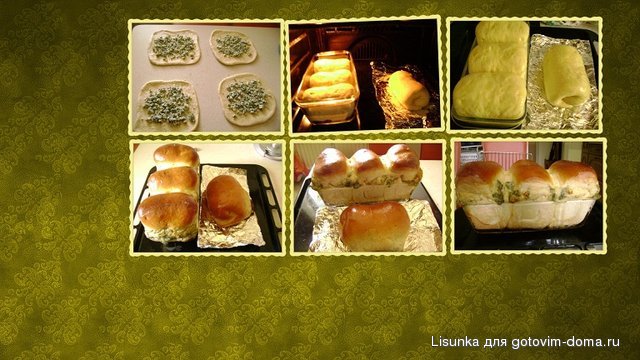 Collage4.jpg