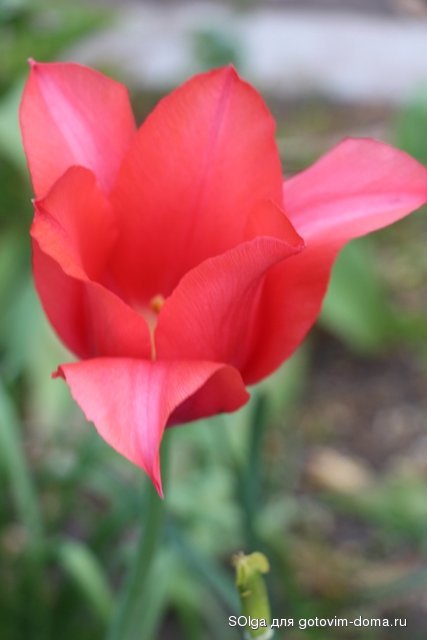 IMG_1075.JPG